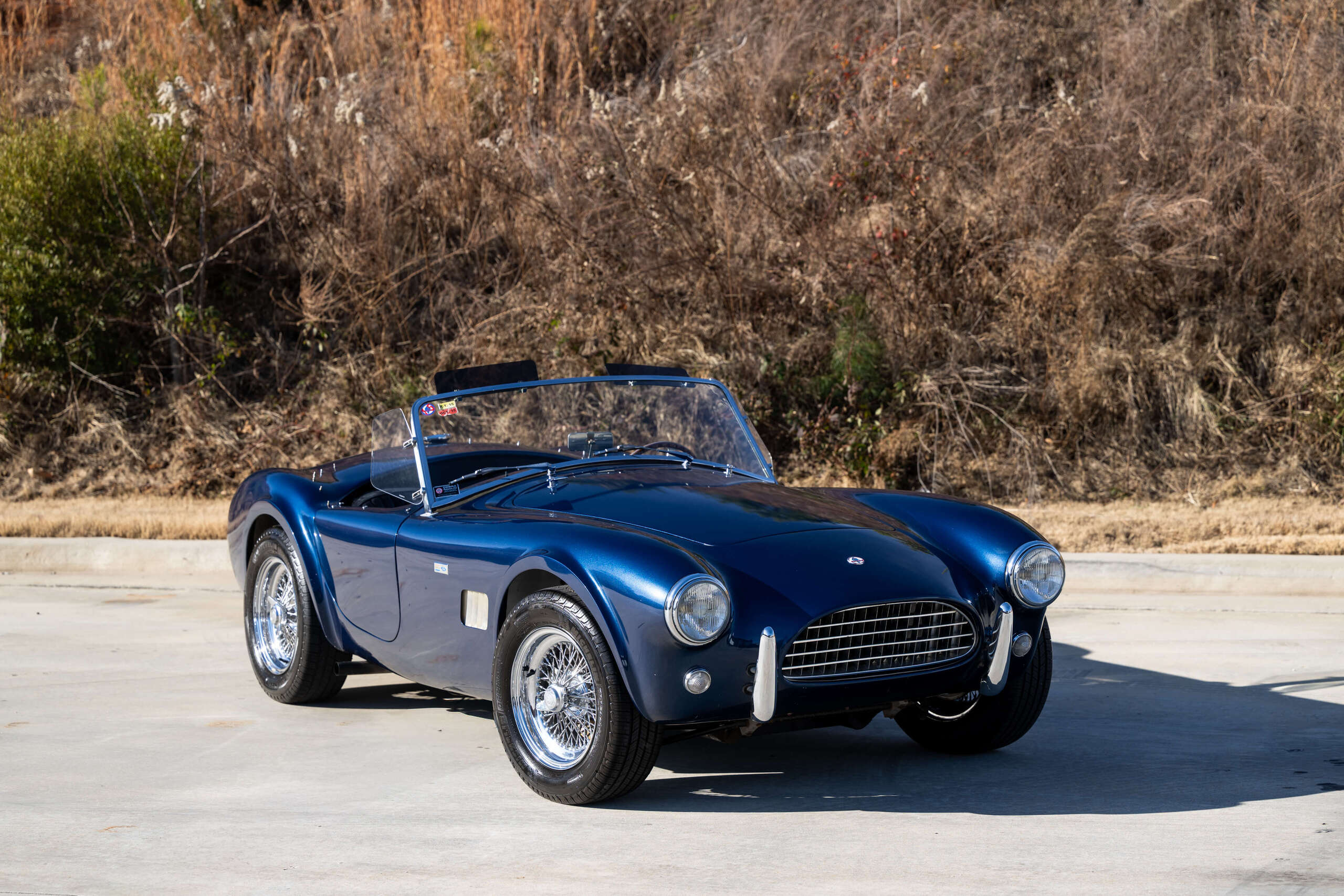 1965 Shelby Cobra 289 For Sale | AllCollectorCars.com